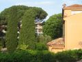 Tilleul  Pins Bastide La verne.JPG